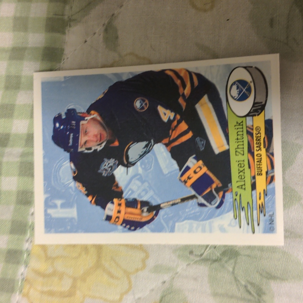 10 for $20 #20 Alexei Zhitnik 1995-96 Panini NHL Hockey Sticker